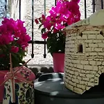 Kispet Marti Boutique