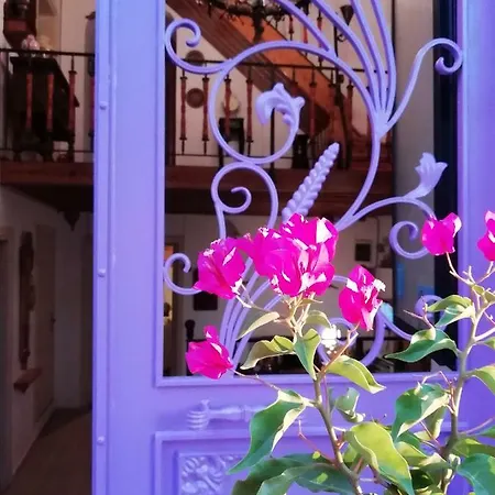 Kispet Marti Boutique Guest house *