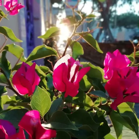 Kispet Marti Boutique Гостьовий будинок