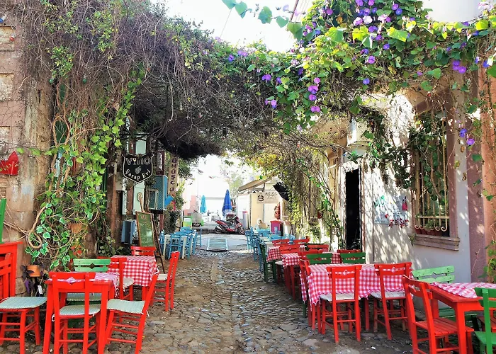 Kispet Marti Boutique