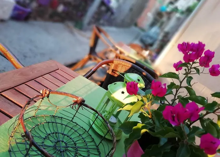 Kispet Marti Boutique Gæstehus