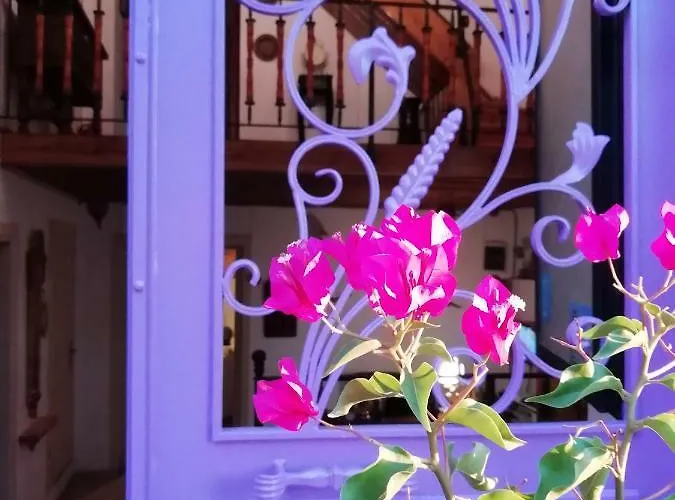 Kispet Marti Boutique Gæstehus *