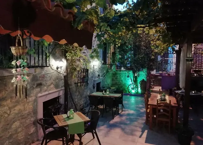 Kispet Marti Boutique