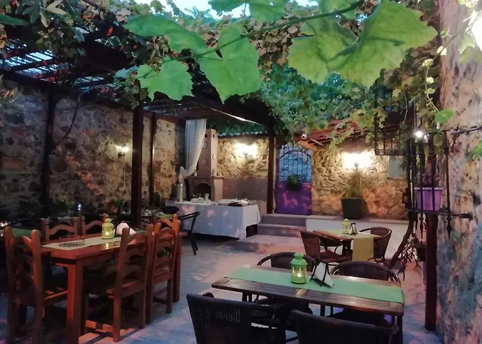 Kispet Marti Boutique