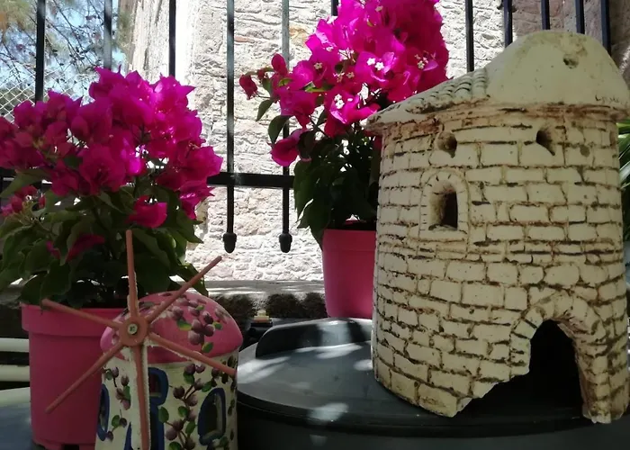 Kispet Marti Boutique